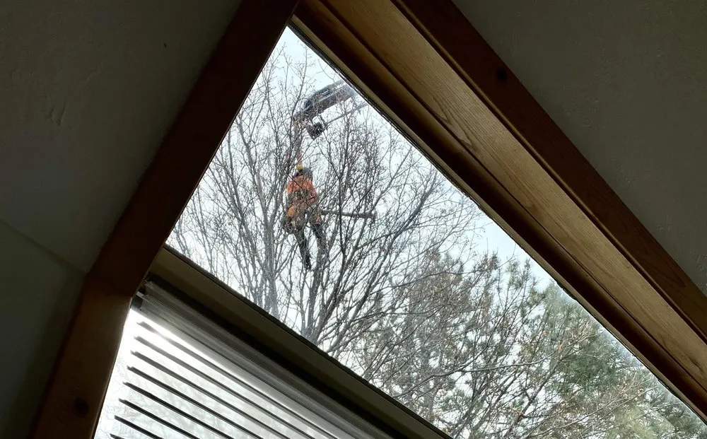 Top-rated yard maintenance in Park City, UT - SavATree Park City