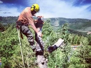 Affordable garden landscaping experts serving Park City, UT - SavATree Park City