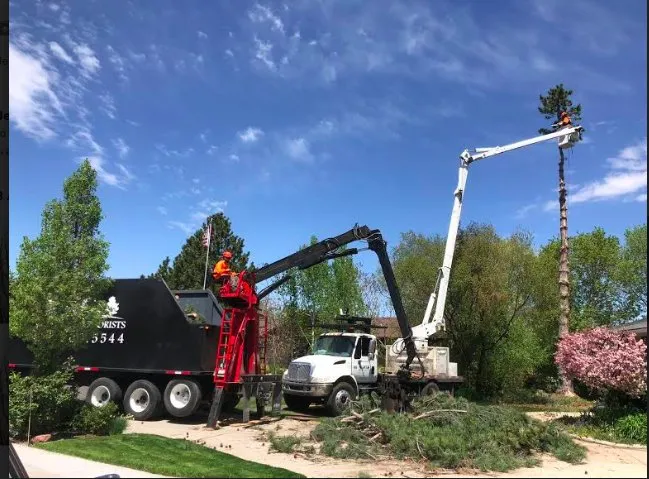 Expert residential landscaping experts serving Park City, UT - SavATree Park City