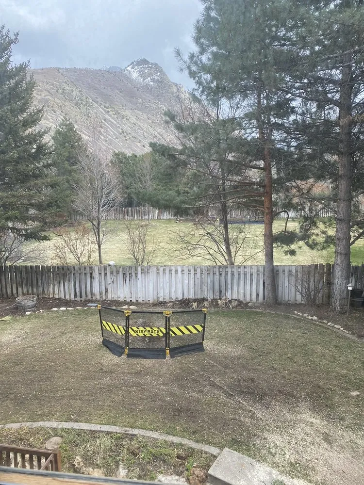 Reliable landscape installation for year-round maintenance across Park City, UT - SavATree Park City
