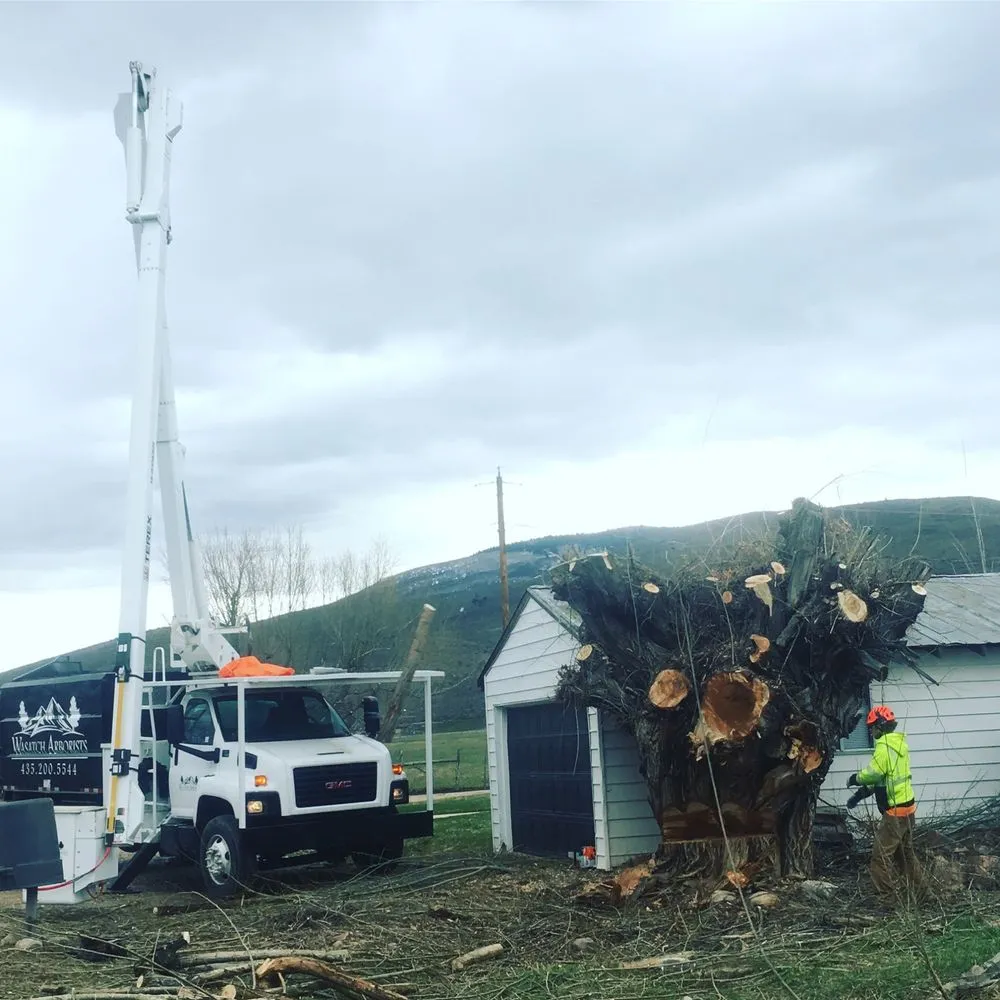 Trusted landscaping services for homes across Park City, UT - SavATree Park City