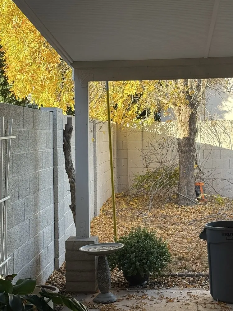 Local lawn care service in Phoenix, AZ - SavATree Phoenix