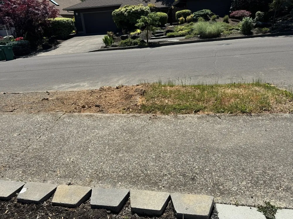 Expert landscaping services for year-round maintenance in Portland, OR by SavATree