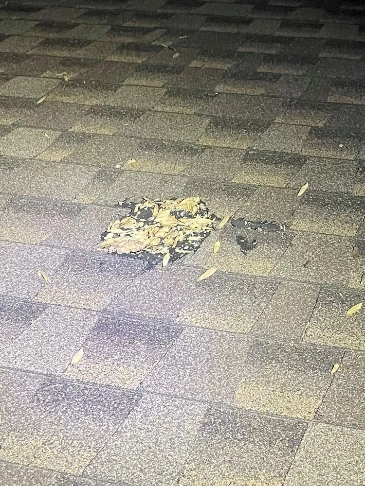 Professional lawn mowing service in Hamilton, NJ by SavATree Princeton