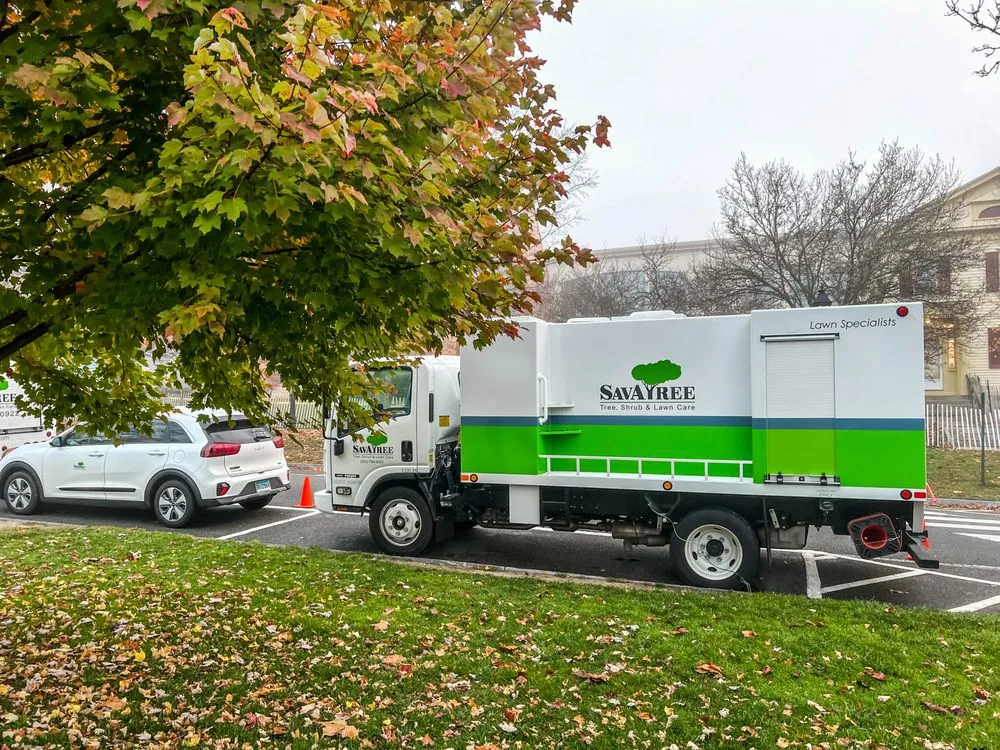 Professional landscape installation experts serving Rockville, MD - SavATree Rockville