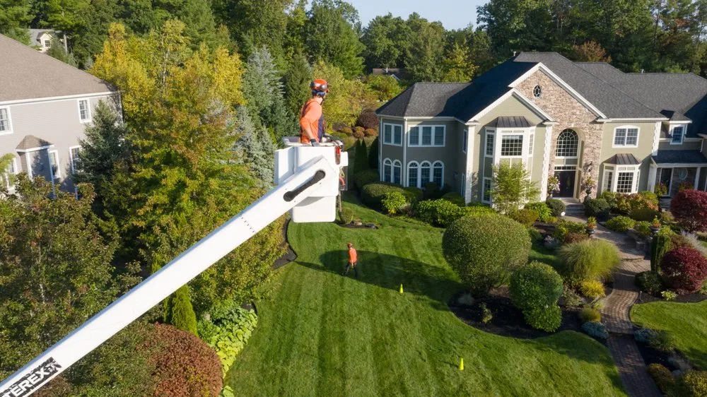 Local yard cleanup service for beautiful yards across Rockville, MD - SavATree Rockville