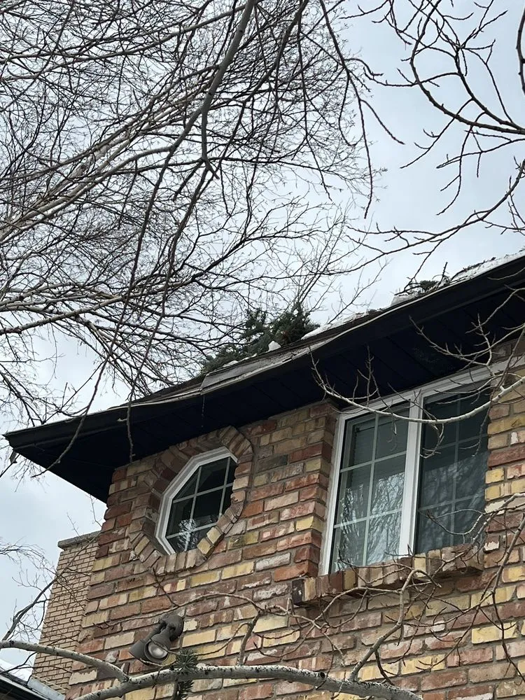 Local yard cleanup service for homes in Salt Lake City, UT by SavATree Salt Lake City