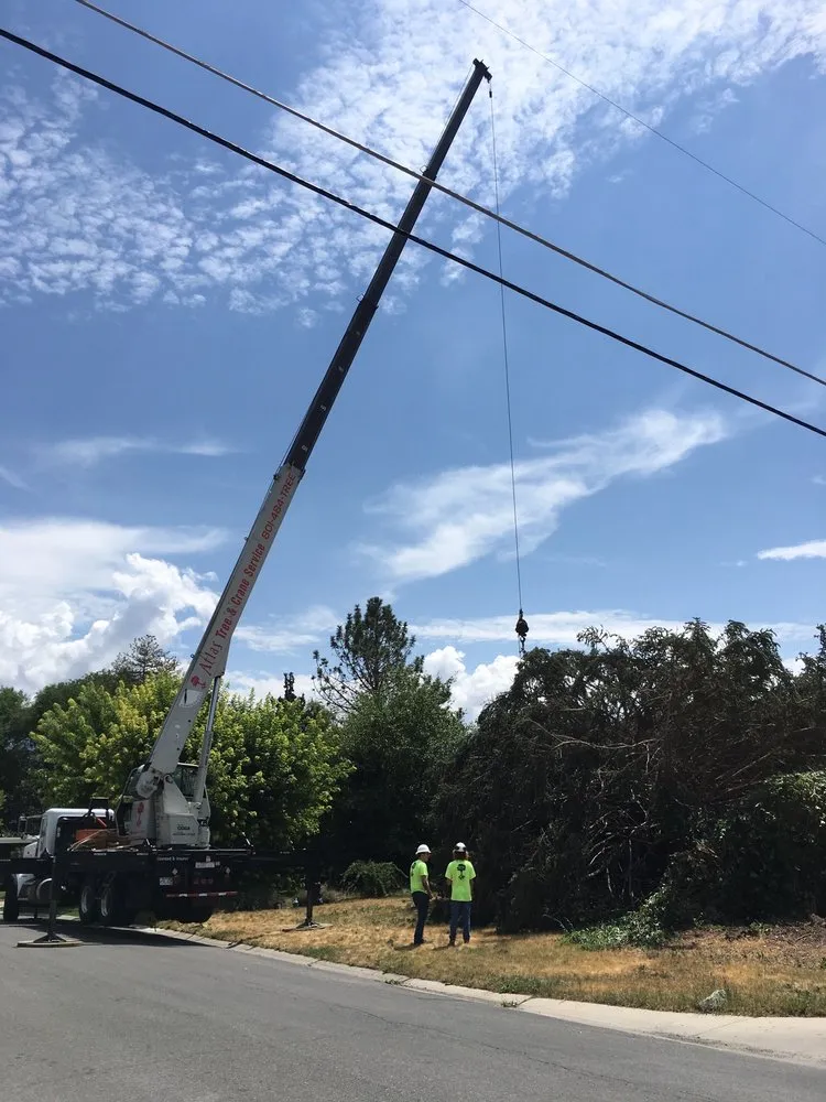 Professional landscaping services in Salt Lake City, UT by SavATree Salt Lake City