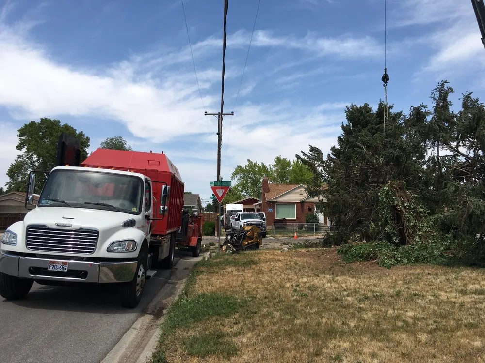Custom outdoor landscaping in Salt Lake City, UT - SavATree Salt Lake City