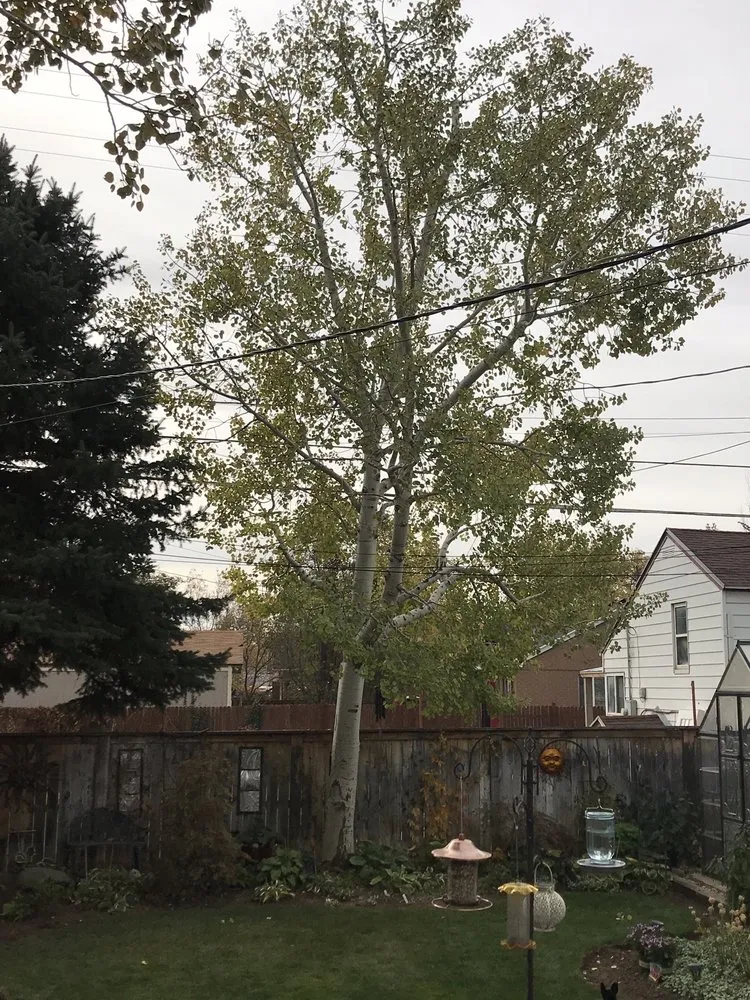 Custom landscape design experts serving Salt Lake City, UT - SavATree Salt Lake City