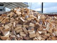 Reliable yard maintenance in Salt Lake City, UT - SavATree Salt Lake City