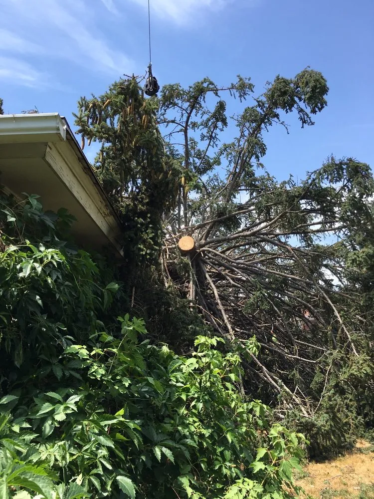 Affordable landscape installation for residential properties across Salt Lake City, UT - SavATree Salt Lake City