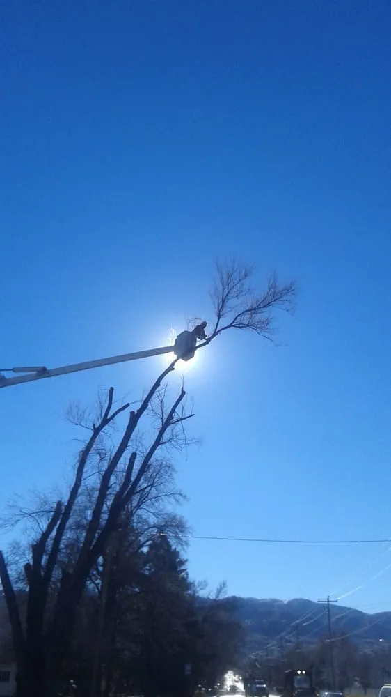 Custom landscaping services in Salt Lake City, UT - SavATree Salt Lake City