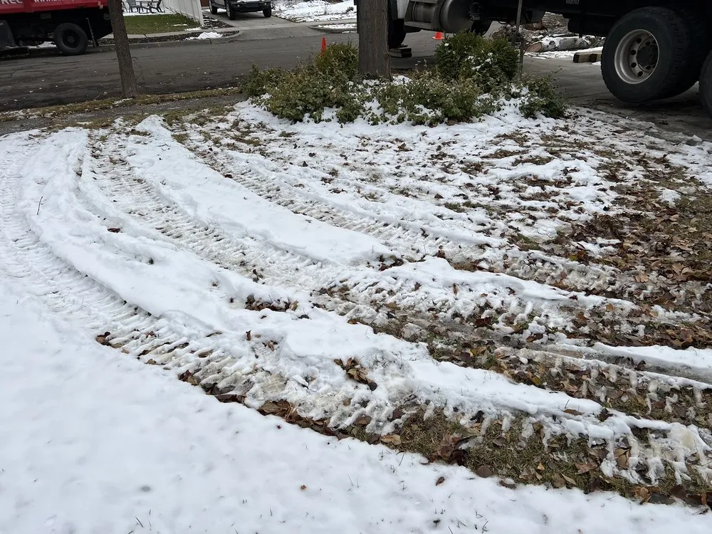 Expert garden landscaping for year-round maintenance in Salt Lake City, UT by SavATree Salt Lake City