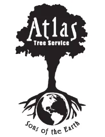 Local lawn mowing service in Salt Lake City, UT by SavATree Salt Lake City