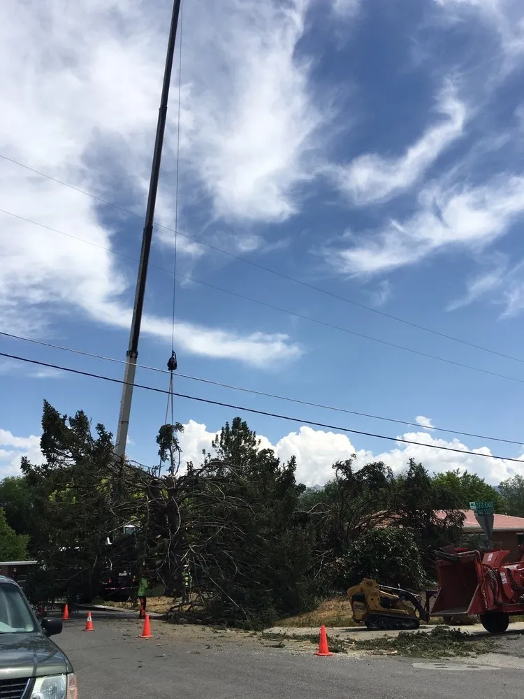 Top-rated residential landscaping near you across Salt Lake City, UT - SavATree Salt Lake City