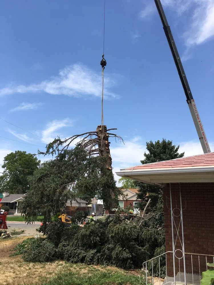 Expert outdoor landscaping in Salt Lake City, UT by SavATree Salt Lake City