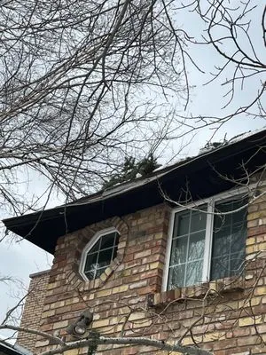 SavATree Salt Lake City Logo