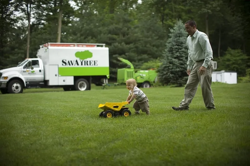Professional garden landscaping for year-round maintenance in Southampton, NY by SavATree Southampton