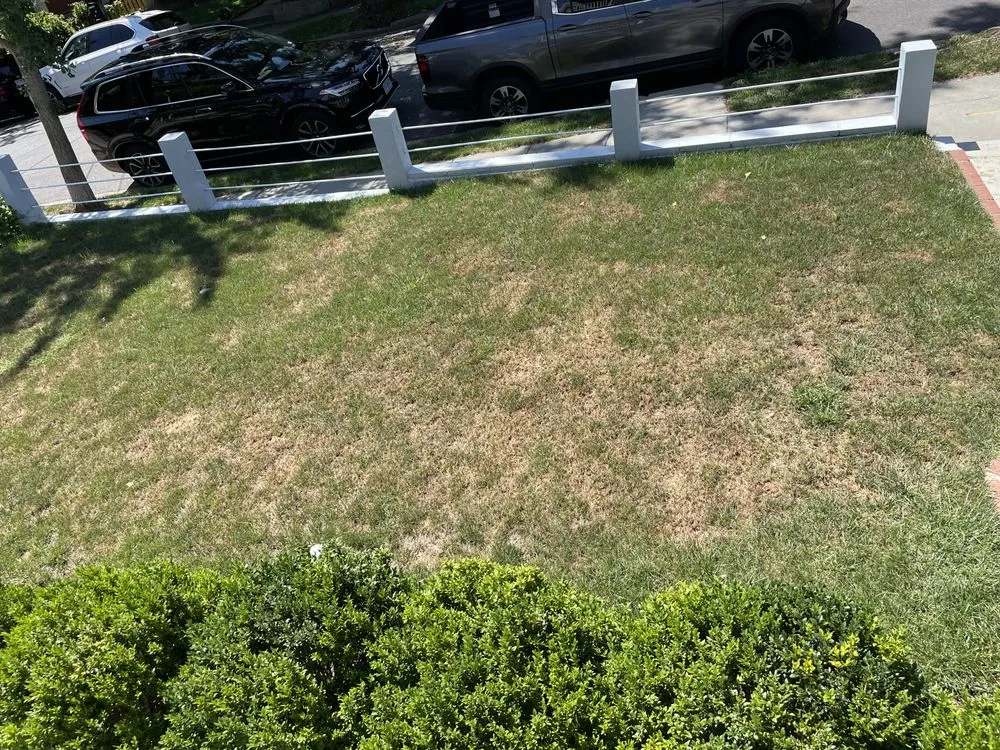 Affordable yard cleanup service in Sterling, VA - SavATree Sterling