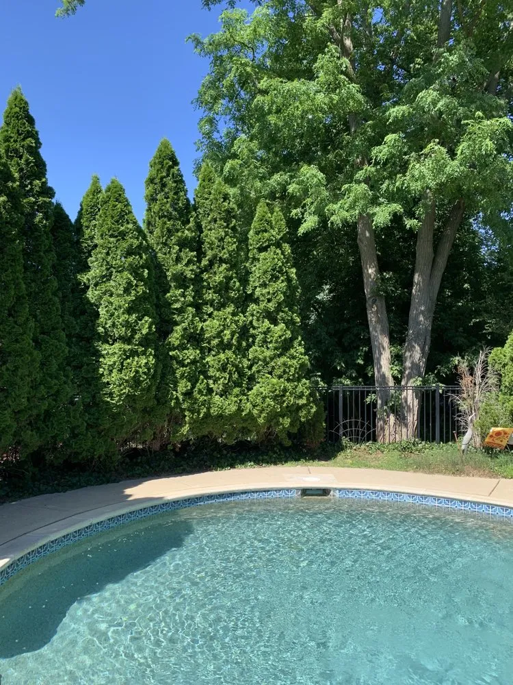 Professional yard maintenance in Troy, MI - SavATree Troy