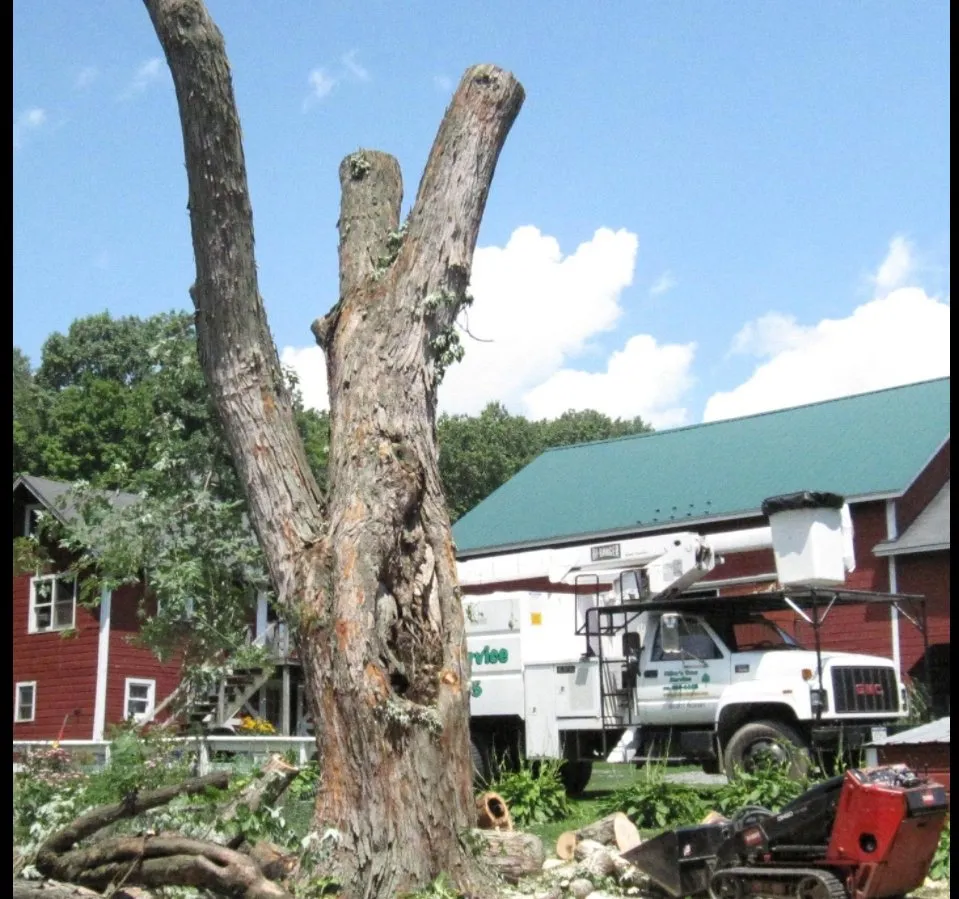 Trusted outdoor landscaping in Troy, MI - SavATree Troy