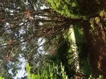 Reliable residential landscaping near you in Wyckoff, NJ by SavATree Wyckoff