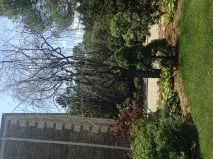 Affordable lawn mowing service near you in Wyckoff, NJ by SavATree Wyckoff