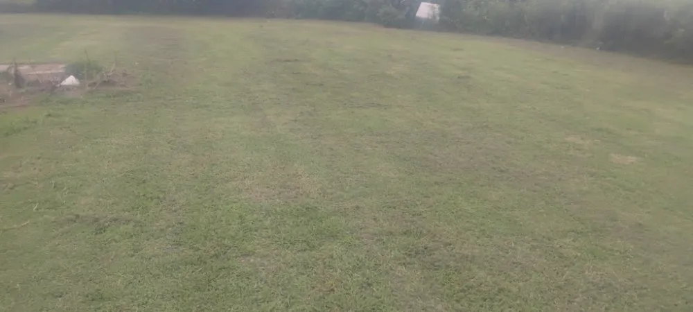Top-rated landscaping services in Sand Rock, AL - Savdra Lawn Cutters