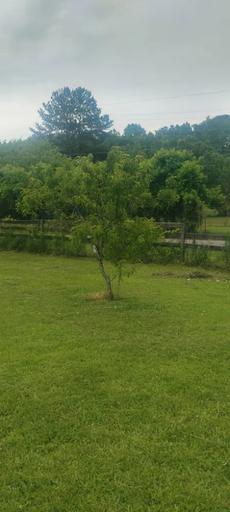 Affordable landscape design in Sand Rock, AL by Savdra Lawn Cutters