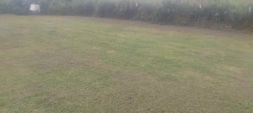 Trusted landscape installation in Sand Rock, AL by Savdra Lawn Cutters