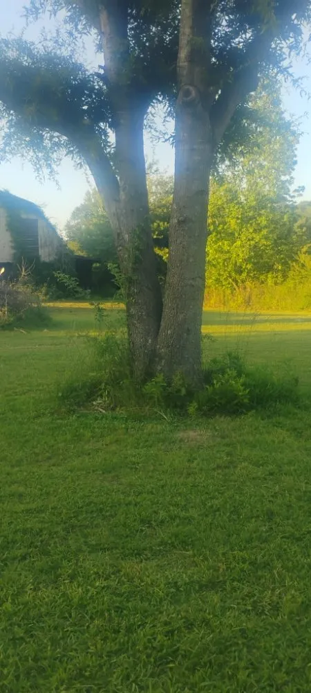 Professional landscape installation experts serving Sand Rock, AL - Savdra Lawn Cutters
