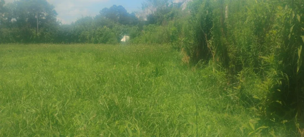 Trusted landscape installation in Sand Rock, AL - Savdra Lawn Cutters