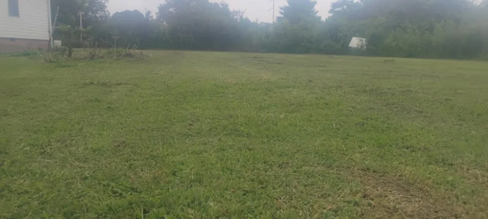 Trusted landscaping services experts serving Sand Rock, AL - Savdra Lawn Cutters