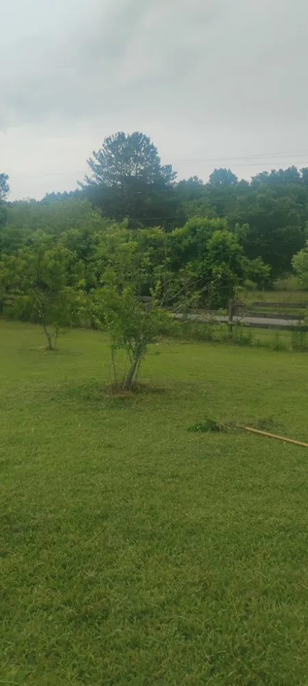 Professional garden landscaping in Sand Rock, AL by Savdra Lawn Cutters