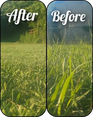 Savdra Lawn Cutters