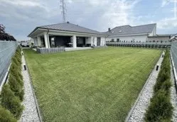 Trusted yard cleanup service in West Palm Beach, FL - Save A Cut Lawn Services