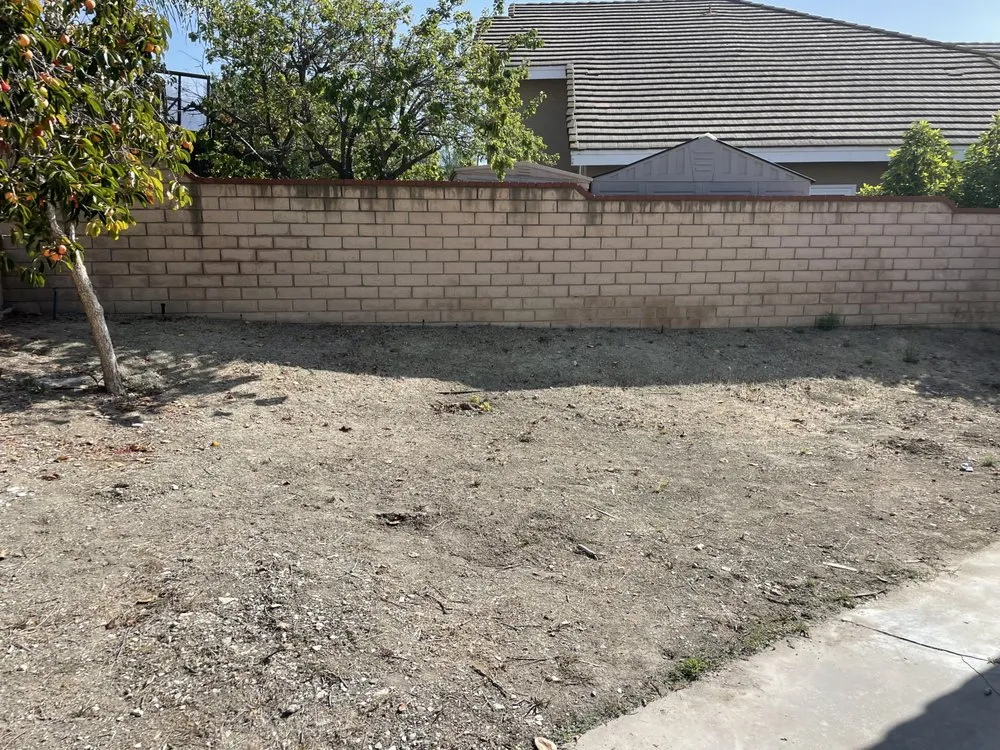 Custom yard maintenance experts serving Rancho Cucamonga, CA - Save Aqua Landscapes