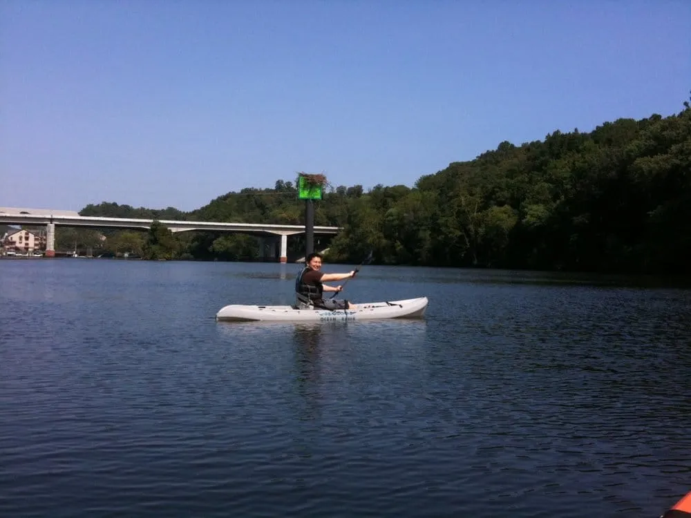 Professional yard cleanup service for beautiful yards in Rancho Cucamonga, CA by Save Aqua Landscapes