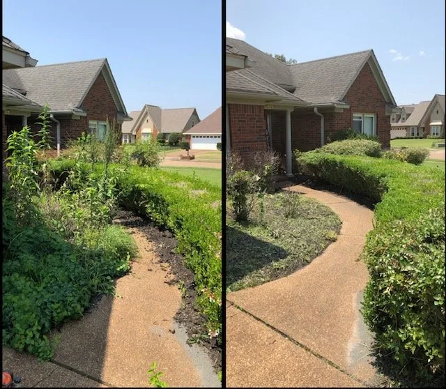 Local yard maintenance experts serving Memphis, TN - Save My Grass Lawn Care