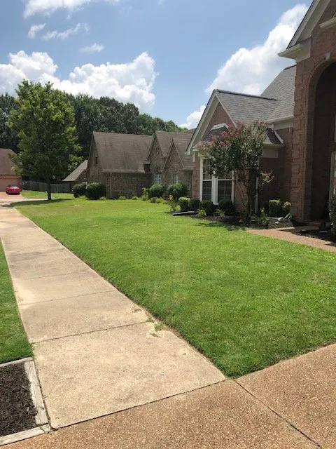 Professional garden landscaping experts serving Memphis, TN - Save My Grass Lawn Care