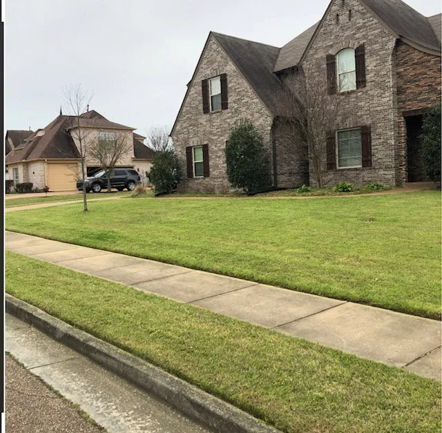 Professional landscape design in Memphis, TN by Save My Grass Lawn Care