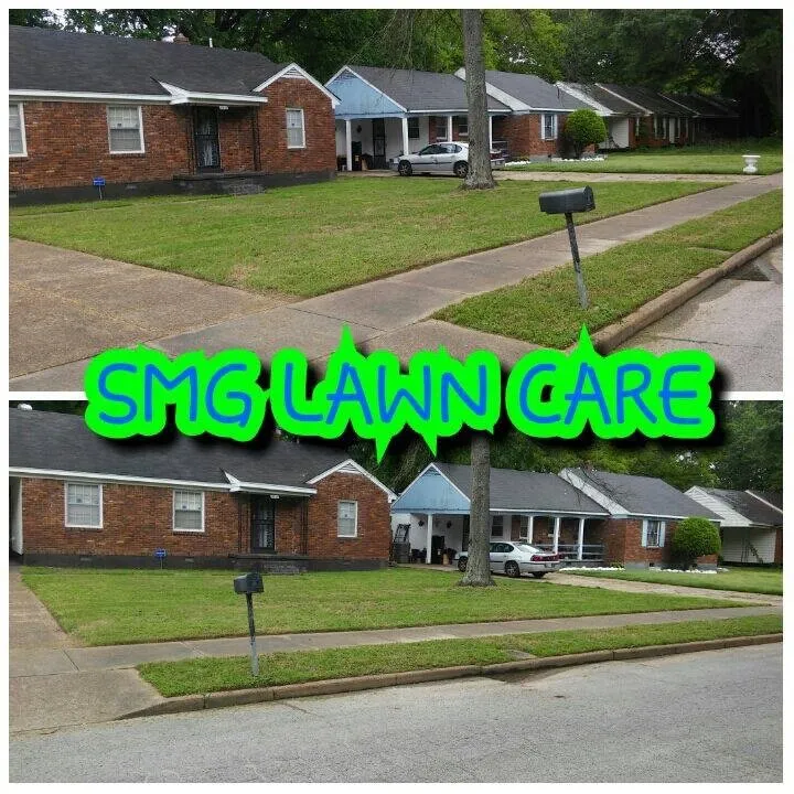 Top-rated garden landscaping experts serving Memphis, TN - Save My Grass Lawn Care