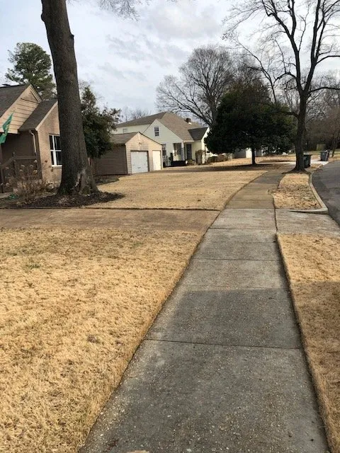 Top-rated lawn care service for homes in Memphis, TN by Save My Grass Lawn Care