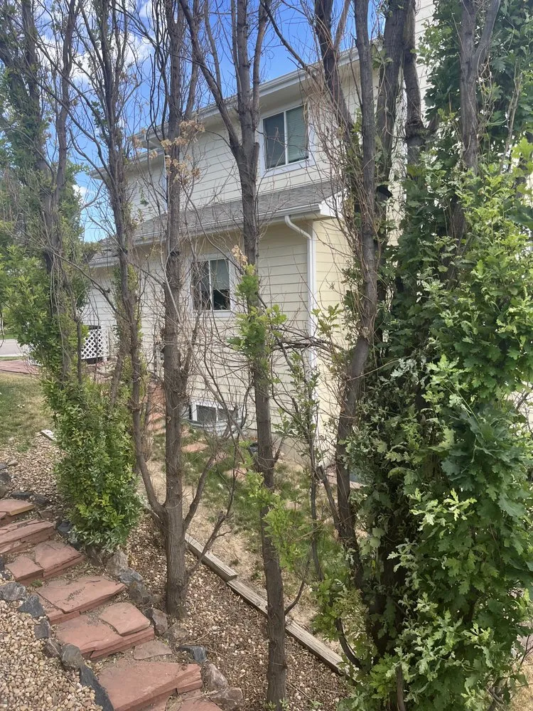 Professional lawn mowing service near you across Firestone, CO - SaveATree