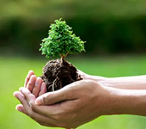 Affordable landscape installation for residential properties in Firestone, CO by SaveATree