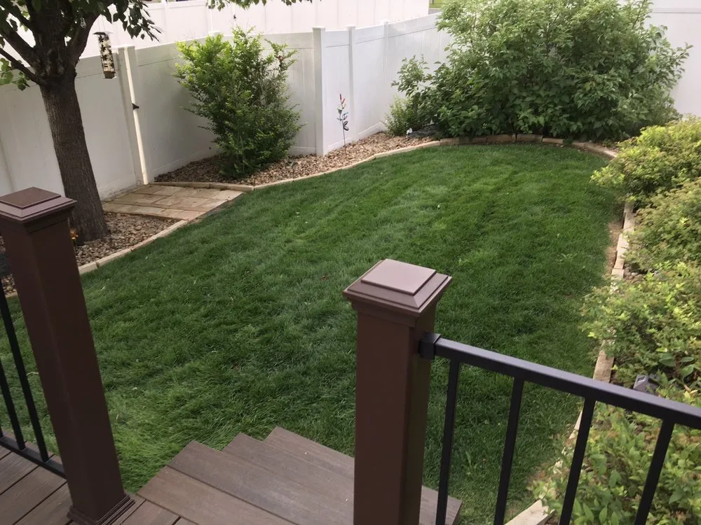 Expert yard cleanup service in Firestone, CO - SaveATree