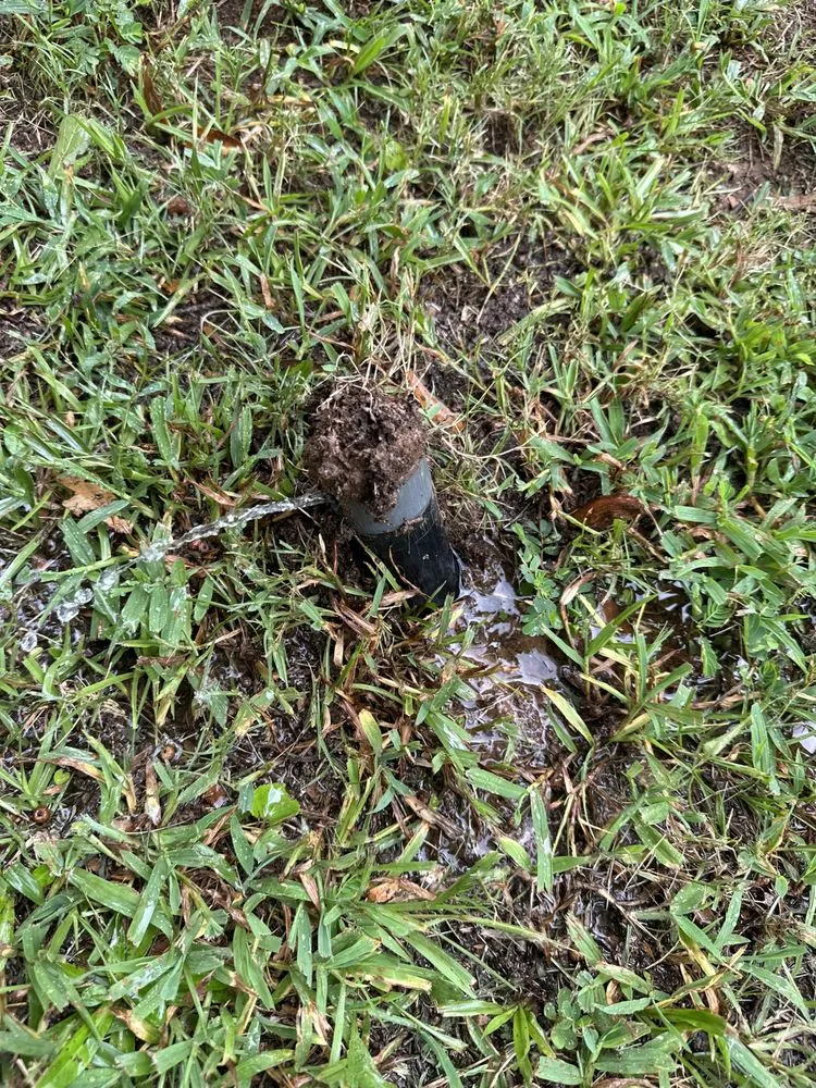 Custom yard cleanup service for beautiful yards in Atlanta, GA by Saved By A Bell Irrigation