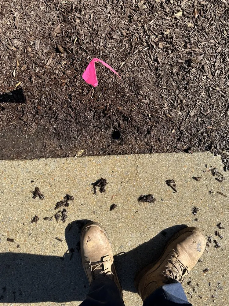 Top-rated landscaping services experts serving Atlanta, GA - Saved By A Bell Irrigation