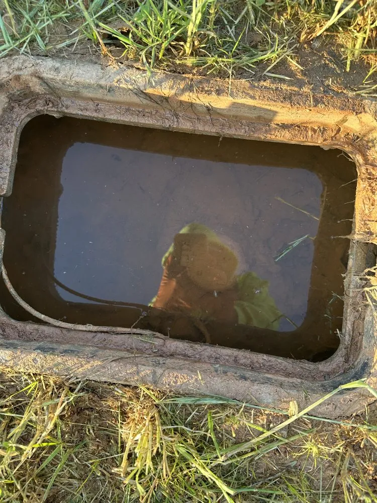 Professional yard maintenance in Atlanta, GA - Saved By A Bell Irrigation